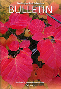 Washington Park Arboretum Bulletin (Fall 2013) 