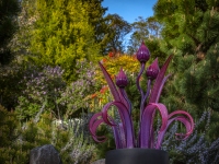 Art in the Albers Marcovina Vista Garden