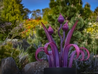 Art in the Albers Marcovina Vista Garden