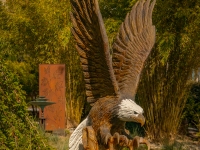 Art in the Albers Marcovina Vista Garden