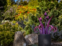 Art in the Albers Marcovina Vista Garden