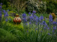 Art in the Albers Marcovina Vista Garden