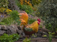 Art in the Albers Marcovina Vista Garden