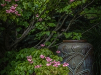 Art in the Albers Marcovina Vista Garden