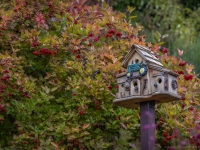 Art in the Albers Marcovina Vista Garden