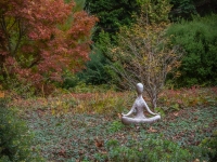 Art in the Albers Marcovina Vista Garden