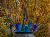 Art in the Albers Marcovina Vista Garden