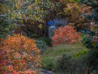 Art in the Albers Marcovina Vista Garden