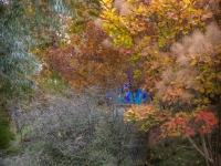 Art in the Albers Marcovina Vista Garden