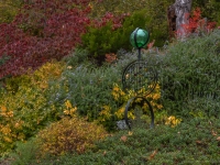 Art in the Albers Marcovina Vista Garden