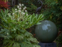 Art in the Albers Marcovina Vista Garden