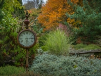 Art in the Albers Marcovina Vista Garden