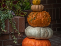 Art in the Albers Marcovina Vista Garden