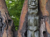 Guardian of madrona woods