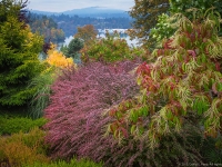 Autumn in Albers Vista Gardens