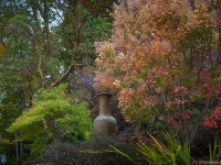 Autumn in Albers Vista Gardens