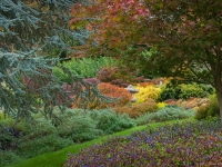 Autumn in Albers Vista Gardens