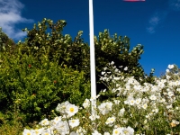 Flag garden