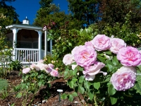 Gazebo in Santica perfect solitude