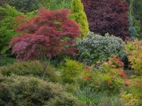 Spring in Albers Vista Gardens