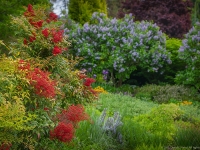 Spring in Albers Vista Gardens