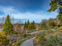 Spring 2021 in Albers Vista Gardens