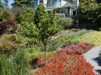 Biofiltration garden