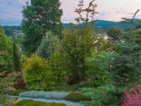 Summer in Albers Vista Gardens