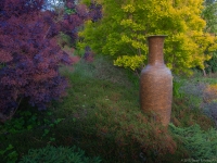 Summer in Albers Vista Gardens