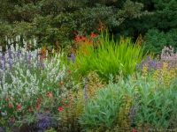 Summer in Albers Vista Gardens