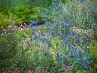 Summer in Albers Vista Gardens