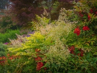 Summer in Albers Vista Gardens