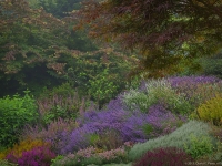 Summer in Albers Vista Gardens