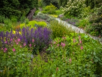 Summer in Vista Gardens