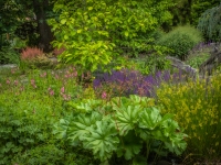 Summer in Vista Gardens