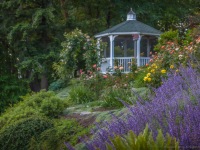 Summer in Vista Gardens