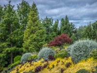 Summer in Vista Gardens