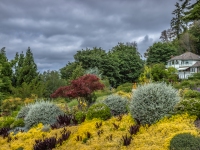 Summer in Vista Gardens