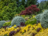 Summer in Vista Gardens