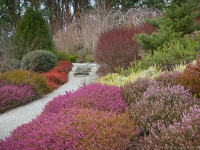 Winter in Albers Vista Gardens