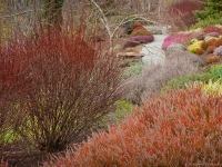 Winter in Albers Vista Gardens