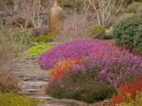 Winter in Albers Vista Gardens