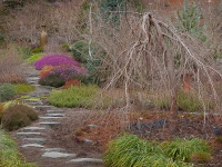 Winter in Albers Vista Gardens