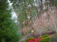 Winter in Albers Vista Gardens