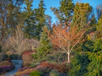 Winter in Albers Vista Gardens